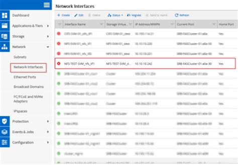 netapps svm recovery.